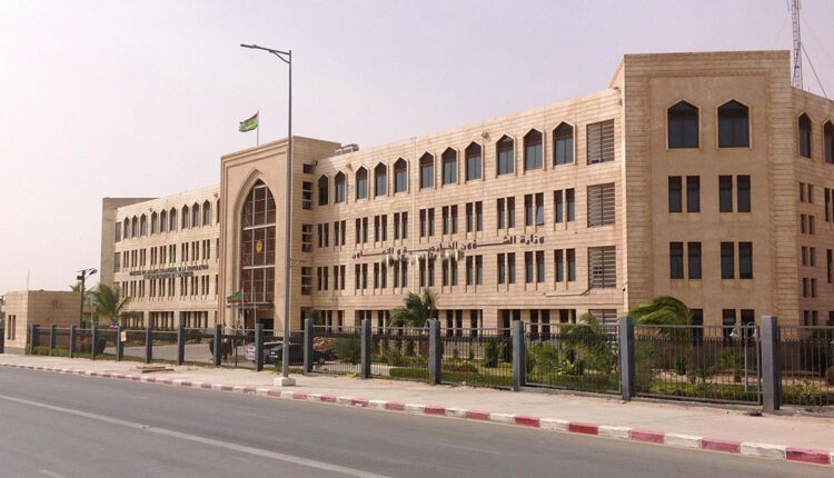 وزارة الخارجية: نتابع أوضاع المشاركين في أسطول الصمود ونعمل على تأمين الإفراج عنهم